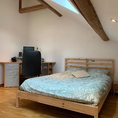 Maison Au Coeur Des Lacs Et De La Foret Vosgienne Celles-sur-Plaine