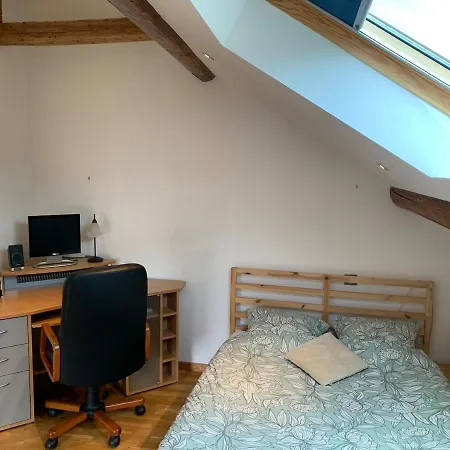 Maison Au Coeur Des Lacs Et De La Foret Vosgienne Tatil Evi *